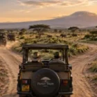 Why Safari Businesses Struggle to Get More Bookings — And What to Fix Before Spending More on Marketing